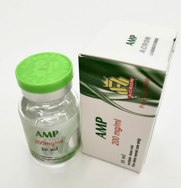 AMP 200 mg/ml